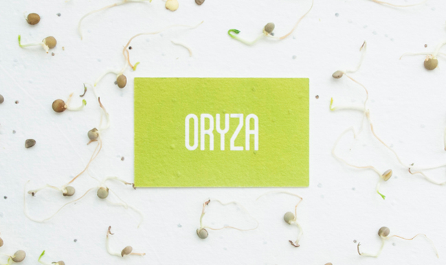 Oryza, ecopackaging de Lucía Eirea, Valentina Uribe y Barbara González. Master en Diseño de Packaging de ELISAVA, 2014-2015.